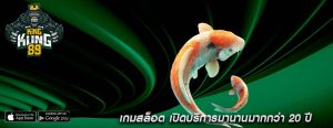 เกมสล็อต เปิดบริการมานานมากกว่า 20 ปี